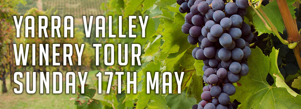 Yarra Valley Winery Tour