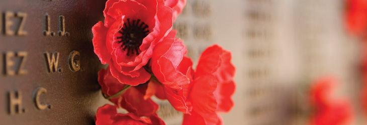 Anzac_Poppies